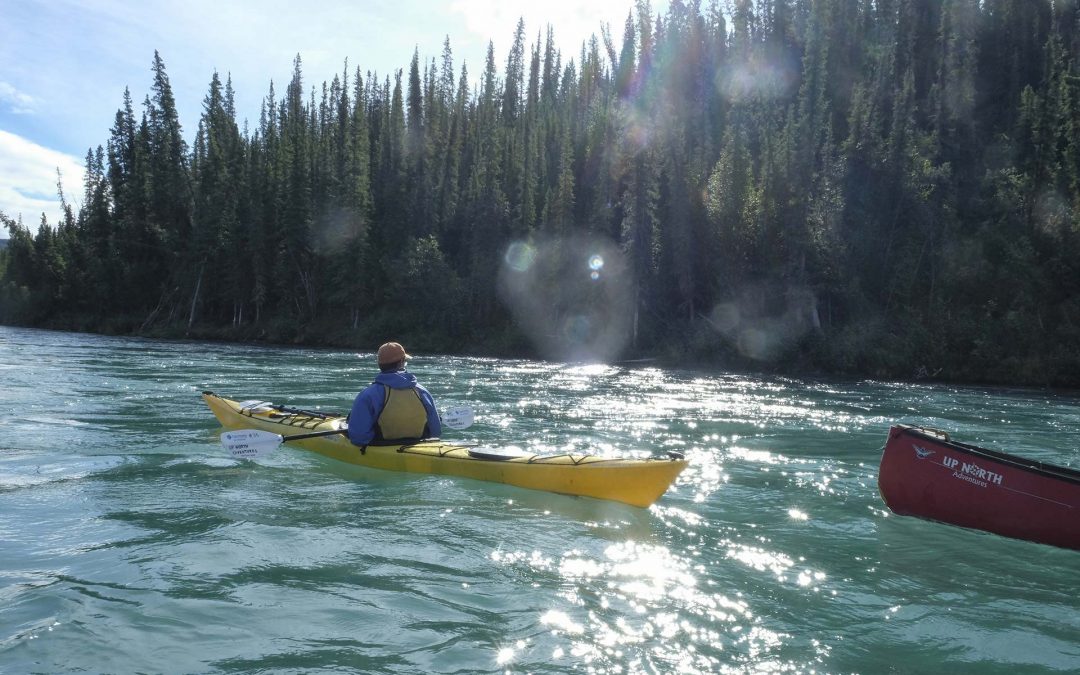 Guided Yukon River Day Tours